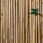 bamboe vloeren inspiratie